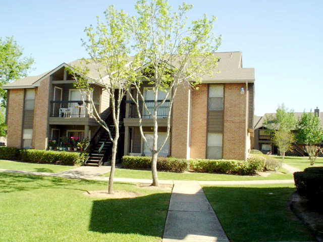 Bay Meadow 1 preview image