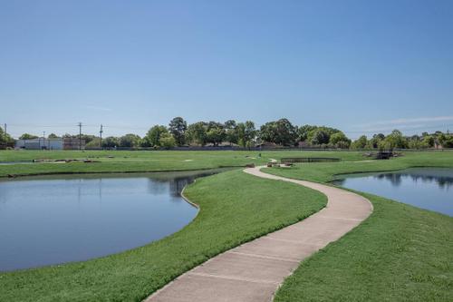 Bay Meadow 4 preview image
