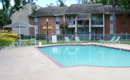 Silver Maple 1 preview image