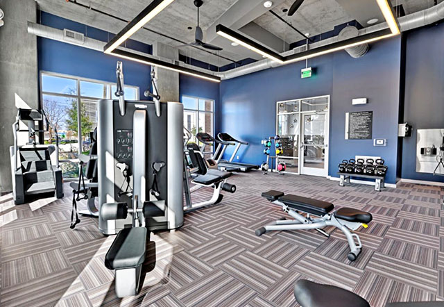 Alta West Gray 3 preview image