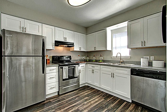 Latitude 2976 3 preview image