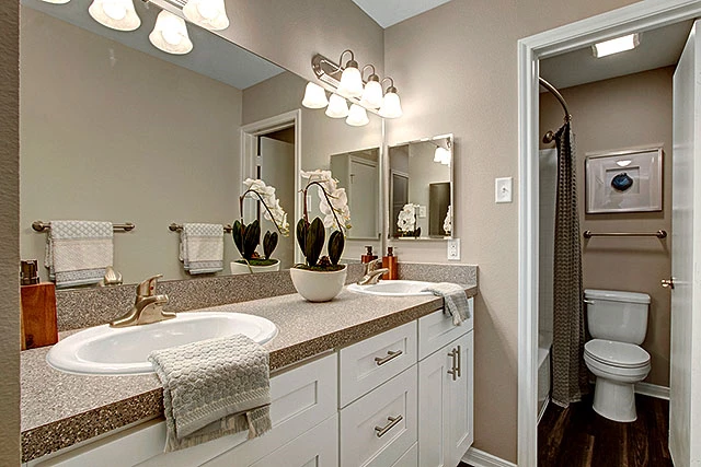 Latitude 2976 5 preview image