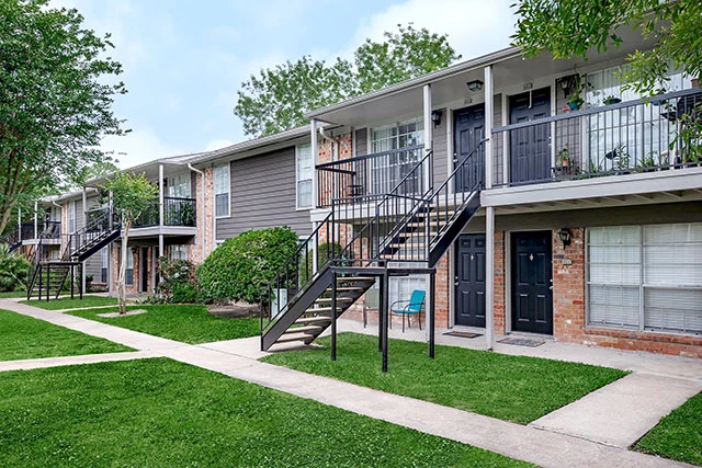 Silver Maple 1 preview image